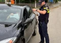 Controale cu surprize în zona Gherla. Pui de căprioară găsit la locuința unei femei din Țaga