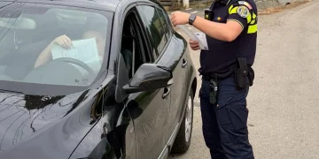 Controale cu surprize în zona Gherla. Pui de căprioară găsit la locuința unei femei din Țaga