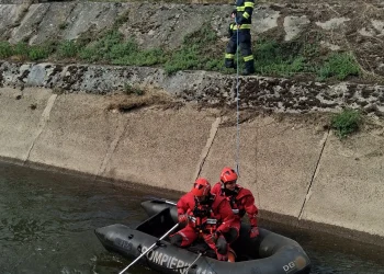 2 câini salvați de pompierii bihoreni. Intervenții în Birtin și Oradea