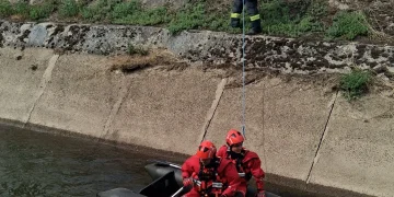 2 câini salvați de pompierii bihoreni. Intervenții în Birtin și Oradea