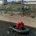 2 câini salvați de pompierii bihoreni. Intervenții în Birtin și Oradea