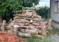 Amenzi de 21.000 de lei și lemn confiscat în zona Huedinului