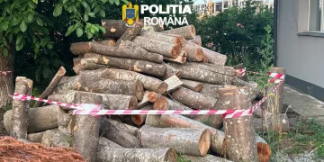 Amenzi de 21.000 de lei și lemn  confiscat în zona Huedinului