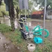 Bistrița