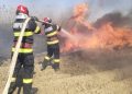 incendii de vegetație