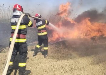 incendii de vegetație