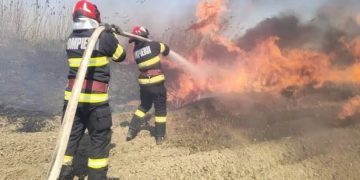 incendii de vegetație