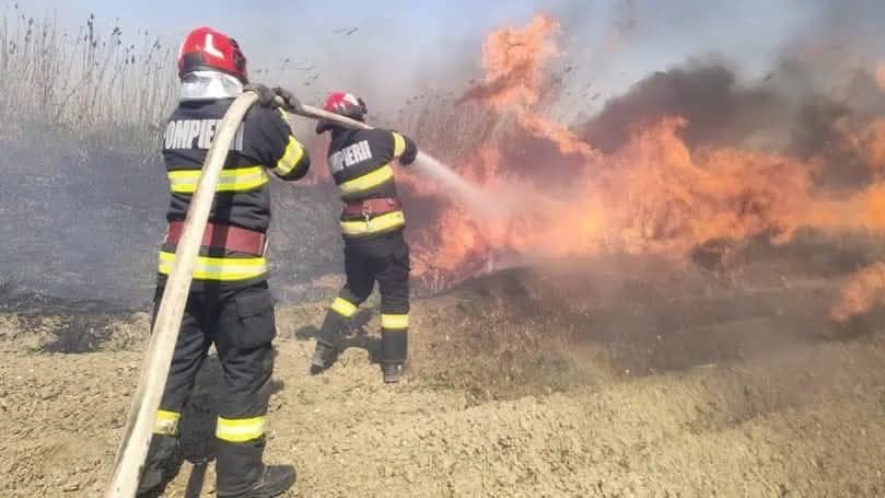 incendii de vegetație