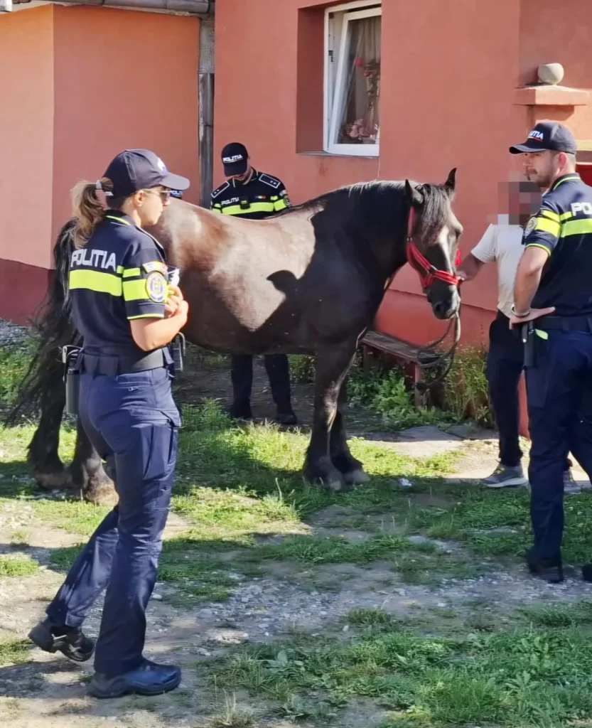 protecția animalelor