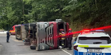 Camion