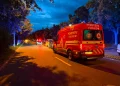 Urs semnalat pe Bulevardul Vasile Milea din Sibiu
