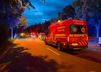 Urs semnalat pe Bulevardul Vasile Milea din Sibiu