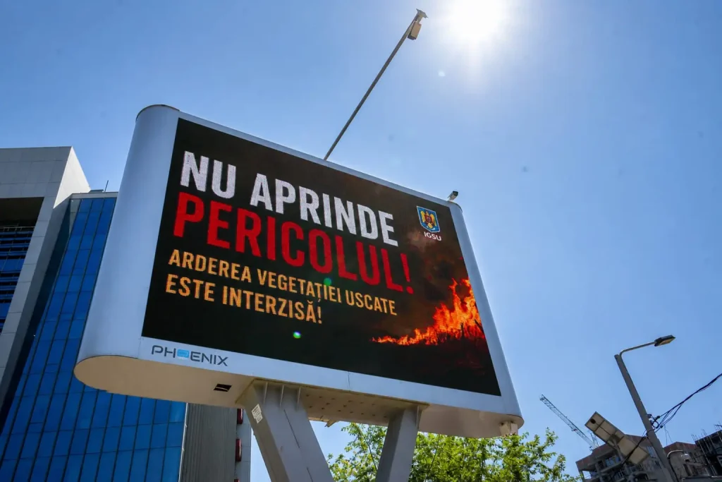 vegetație uscată
