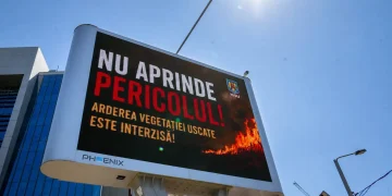 vegetație uscată