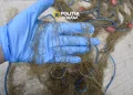 5 bărbați reținuți, 2 arestați în Mureș. Cercetați pentru braconaj piscicol