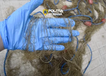 5 bărbați reținuți, 2 arestați în Mureș. Cercetați pentru braconaj piscicol