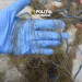 5 bărbați reținuți, 2 arestați în Mureș. Cercetați pentru braconaj piscicol