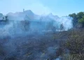 FOTO | 10 locuințe și anexe salvate de pompierii bihoreni. Un incendiu de vegetație a cuprins 2 mii de mp