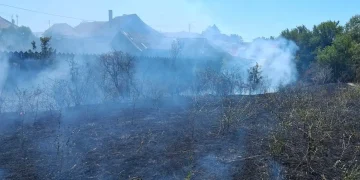 FOTO | 10 locuințe și anexe salvate de pompierii bihoreni. Un incendiu de vegetație a cuprins 2 mii de mp