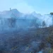 FOTO | 10 locuințe și anexe salvate de pompierii bihoreni. Un incendiu de vegetație a cuprins 2 mii de mp