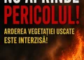 vegetație uscată