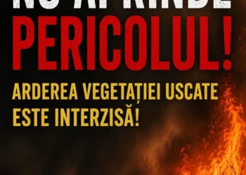 vegetație uscată