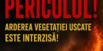 vegetație uscată