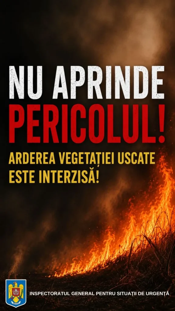 vegetație uscată