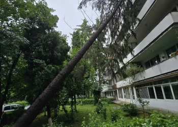 Intervenții ale pompierilor în Reghin și Târgu Mureș: un brad a căzut peste un bloc, iar o creangă, peste autoturisme