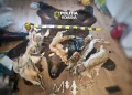 Percheziții de amploare la Lunca Bradului. Polițiștii mureșeni au destructurat o rețea de braconaj cu arme și tehnică militară