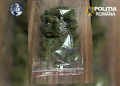VIDEO Cinci tineri arestați pentru trafic de droguri în Brașov. Vindeau canabis și cocaină prin metoda „dead drop”