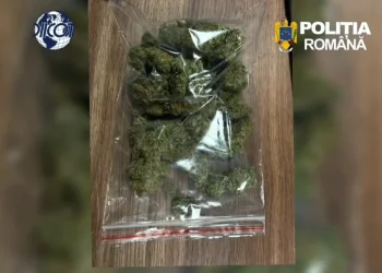 VIDEO Cinci tineri arestați pentru trafic de droguri în Brașov. Vindeau canabis și cocaină prin metoda „dead drop”