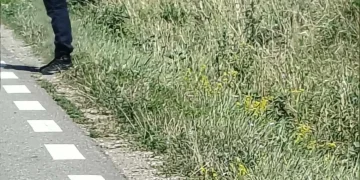 accident