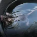 Indiferent de animal, niciunul nu merită cruzime. „Experiment” pe un pui de șobolan la Cluj