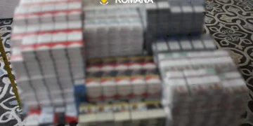 8 percheziții în Bihor. Aproape 70.000 de țigări nemarcate, confiscate