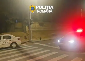Percheziții în Cluj. Acte false și prejudicii puse în cârca unor pădurari
