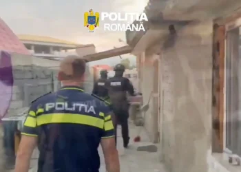 3 bărbați reținuți. Au furat aproximativ 200 de baloți de lucernă din Bod, Brașov