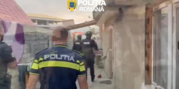 3 bărbați reținuți. Au furat aproximativ 200 de baloți de lucernă din Bod, Brașov