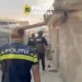 3 bărbați reținuți. Au furat aproximativ 200 de baloți de lucernă din Bod, Brașov