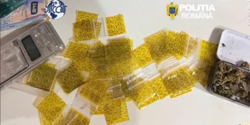 VIDEO Rețea de traficanți de droguri destructurată la Brașov. 7 persoane, majoritatea tineri, reținute de DIICOT