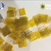 VIDEO Rețea de traficanți de droguri destructurată la Brașov. 7 persoane, majoritatea tineri, reținute de DIICOT