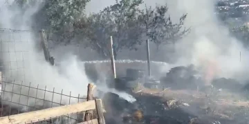 VIDEO 3 echipaje de pompieri intervin pentru a opri un incendiu de vegetație în Cluj-Napoca