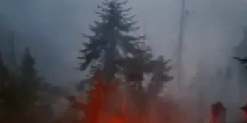 Incendiu de vegetație în Bistrița Bârgăului. Focare ascunse ard la rădăcinile copacilor, zona e greu accesibilă