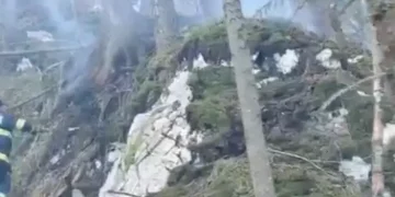 Cluj | Incendiu forestier pornit de la un fulger. Elicopter solicitat pentru intervenție din aer