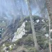 Cluj | Incendiu forestier pornit de la un fulger. Elicopter solicitat pentru intervenție din aer