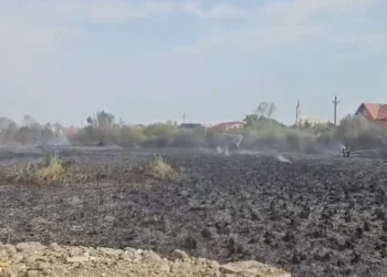 Incendii puternice de vegetație în Satu Mare. 15 case amenințate de flăcări la Ardud
