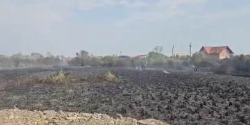 Incendii puternice de vegetație în Satu Mare. 15 case amenințate de flăcări la Ardud
