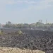 Incendii puternice de vegetație în Satu Mare. 15 case amenințate de flăcări la Ardud