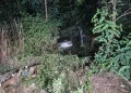 Dejean reținut. Băut și cu permisul suspendat a zburat în afara șoselei la Bobâlna