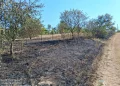 FOTO | Cu focul nu-i de joacă. Pompierii din Tășnad intervenție pentru stingerea unui incendiu de vegetație